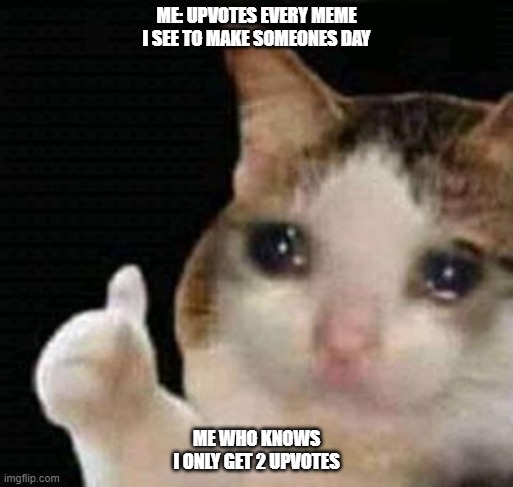 sad thumbs up cat | ME: UPVOTES EVERY MEME I SEE TO MAKE SOMEONES DAY; ME WHO KNOWS I ONLY GET 2 UPVOTES | image tagged in sad thumbs up cat | made w/ Imgflip meme maker