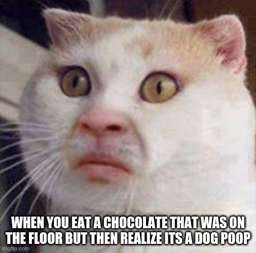 WHEN YOU EAT A CHOCOLATE THAT WAS ON THE FLOOR BUT THEN REALIZE ITS A DOG POOP | made w/ Imgflip meme maker