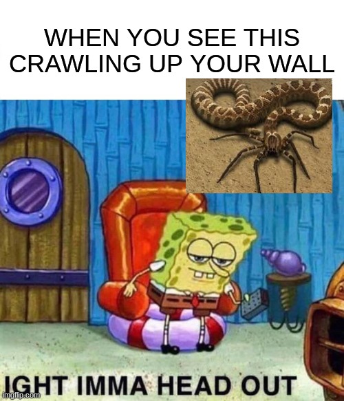 Spongebob Ight Imma Head Out Meme | WHEN YOU SEE THIS CRAWLING UP YOUR WALL | image tagged in memes,spongebob ight imma head out | made w/ Imgflip meme maker