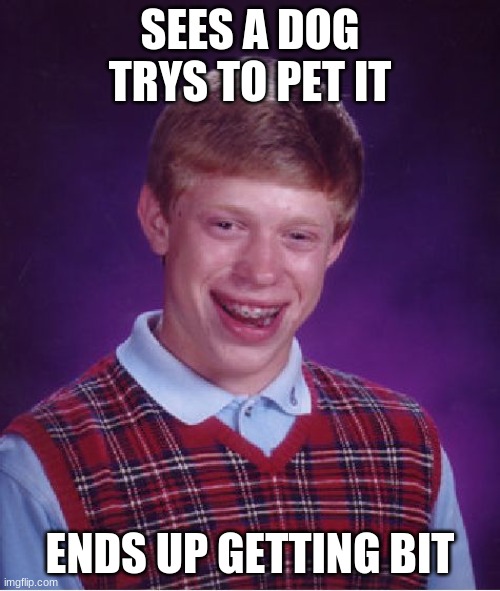 Bad Luck Brian Meme | SEES A DOG TRYS TO PET IT; ENDS UP GETTING BIT | image tagged in memes,bad luck brian | made w/ Imgflip meme maker