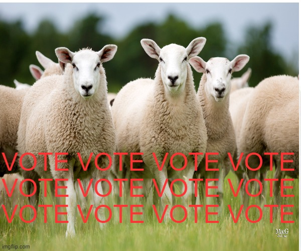sheeple | VOTE VOTE VOTE VOTE
VOTE VOTE VOTE VOTE
VOTE VOTE VOTE VOTE | image tagged in voting,democracy | made w/ Imgflip meme maker