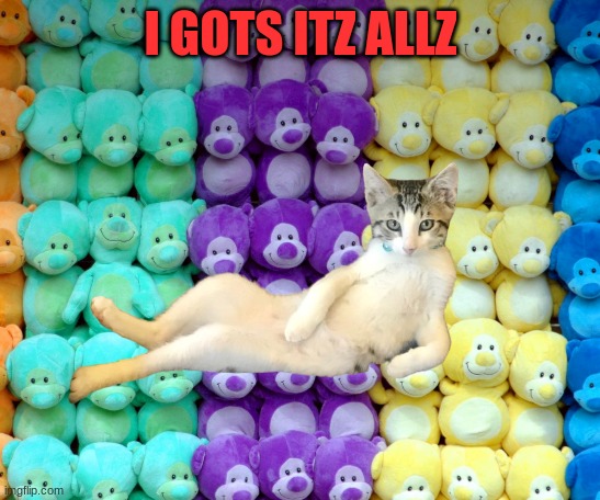 I gots itz allz cat | I GOTS ITZ ALLZ | image tagged in cats,rich,fancy,funny cats | made w/ Imgflip meme maker