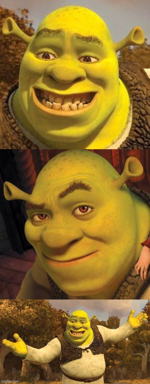 Shrek and Fiona Blank Template - Imgflip