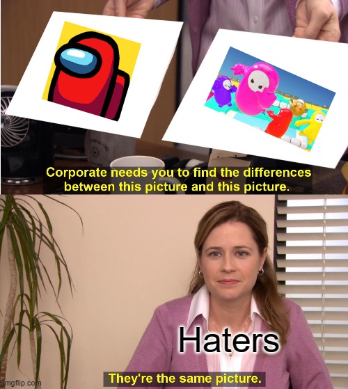 They're The Same Picture | Haters | image tagged in memes,they're the same picture | made w/ Imgflip meme maker