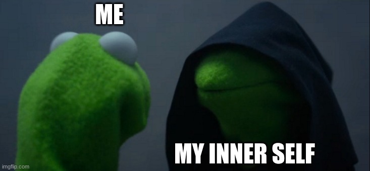 who i look like: what i am on the inside | ME; MY INNER SELF | image tagged in memes,evil kermit | made w/ Imgflip meme maker