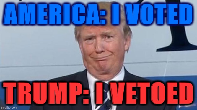 that is not how the veto power works sir | AMERICA: I VOTED; TRUMP: I VETOED | image tagged in trump face,politics,election 2020,2020 elections,vote,democracy | made w/ Imgflip meme maker