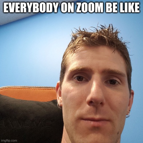 Linus Face Meme | EVERYBODY ON ZOOM BE LIKE | image tagged in linus face meme | made w/ Imgflip meme maker