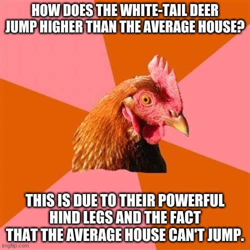 Anti Joke Chicken Meme | HOW DOES THE WHITE-TAIL DEER JUMP HIGHER THAN THE AVERAGE HOUSE? THIS IS DUE TO THEIR POWERFUL HIND LEGS AND THE FACT THAT THE AVERAGE HOUSE CAN'T JUMP. | image tagged in memes,anti joke chicken | made w/ Imgflip meme maker