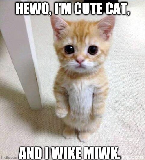 Cute Cat Meme | HEWO, I'M CUTE CAT, AND I WIKE MIWK. | image tagged in memes,cute cat,too cute,adorable | made w/ Imgflip meme maker