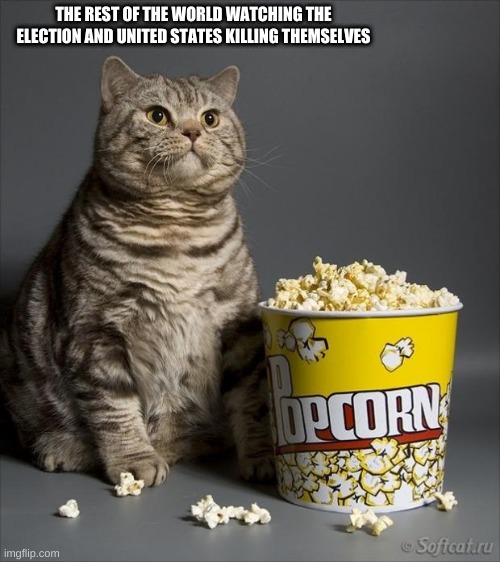 Cat eating popcorn | THE REST OF THE WORLD WATCHING THE ELECTION AND UNITED STATES KILLING THEMSELVES | image tagged in cat eating popcorn | made w/ Imgflip meme maker