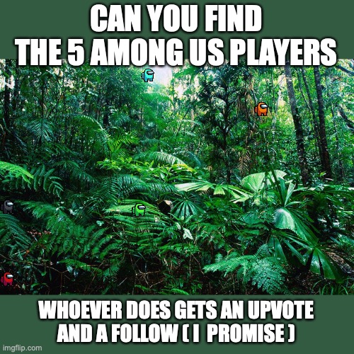 can you find the (poorly) hidden among us players | CAN YOU FIND THE 5 AMONG US PLAYERS; WHOEVER DOES GETS AN UPVOTE AND A FOLLOW ( I  PROMISE ) | image tagged in tropical_ rainforest | made w/ Imgflip meme maker