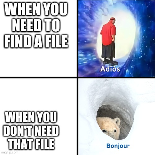 Adios Bonjour | WHEN YOU NEED TO FIND A FILE; WHEN YOU DON'T NEED THAT FILE | image tagged in adios bonjour | made w/ Imgflip meme maker