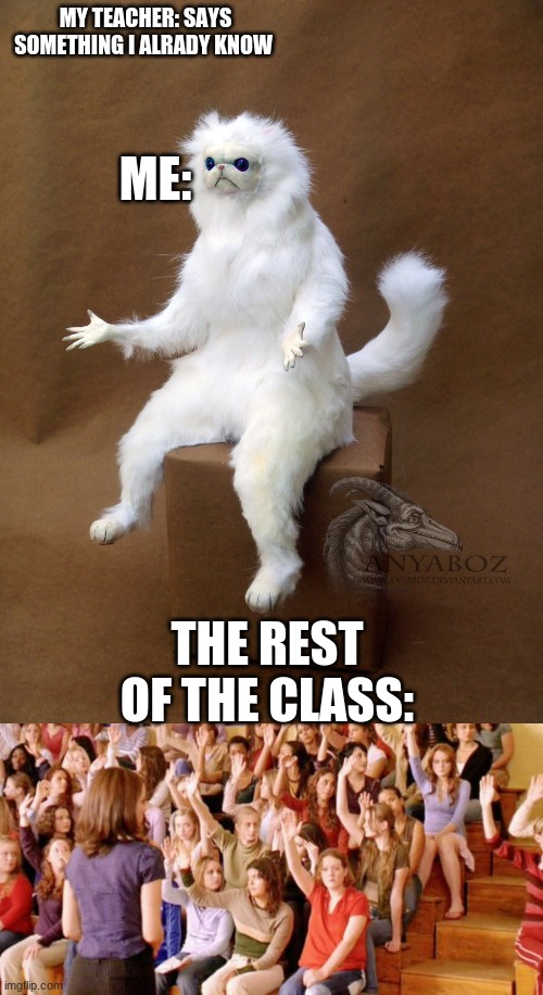 damn it kids | MY TEACHER: SAYS SOMETHING I ALRADY KNOW; ME:; THE REST OF THE CLASS: | image tagged in memes,persian cat room guardian single | made w/ Imgflip meme maker