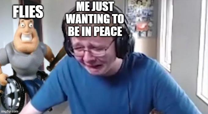 this is how i feel everyday |  ME JUST WANTING TO BE IN PEACE; FLIES | image tagged in callmecarson crying next to joe swanson | made w/ Imgflip meme maker