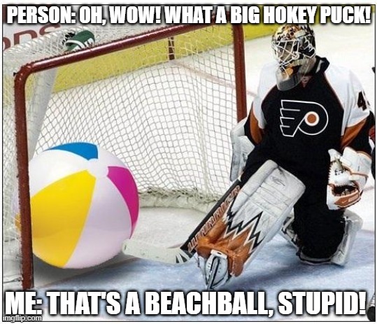 Hockey Beachball Meme | PERSON: OH, WOW! WHAT A BIG HOKEY PUCK! ME: THAT'S A BEACHBALL, STUPID! | image tagged in hockey goalie beachball,memes | made w/ Imgflip meme maker