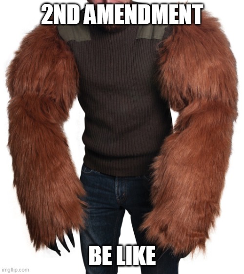 Bear arms | 2ND AMENDMENT; BE LIKE | image tagged in bear arms | made w/ Imgflip meme maker