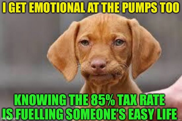 Disappointed Dog | I GET EMOTIONAL AT THE PUMPS TOO KNOWING THE 85% TAX RATE IS FUELLING SOMEONE’S EASY LIFE | image tagged in disappointed dog | made w/ Imgflip meme maker
