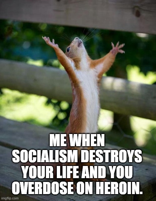 Happy Squirrel | ME WHEN SOCIALISM DESTROYS YOUR LIFE AND YOU OVERDOSE ON HEROIN. | image tagged in happy squirrel | made w/ Imgflip meme maker