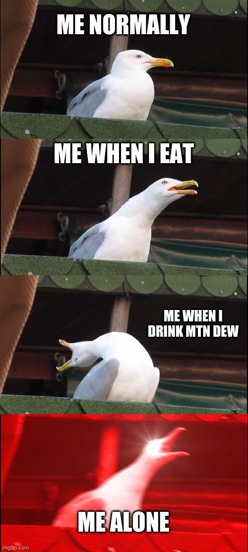 E | ME NORMALLY; ME WHEN I EAT; ME WHEN I DRINK MTN DEW; ME ALONE | image tagged in memes,inhaling seagull | made w/ Imgflip meme maker