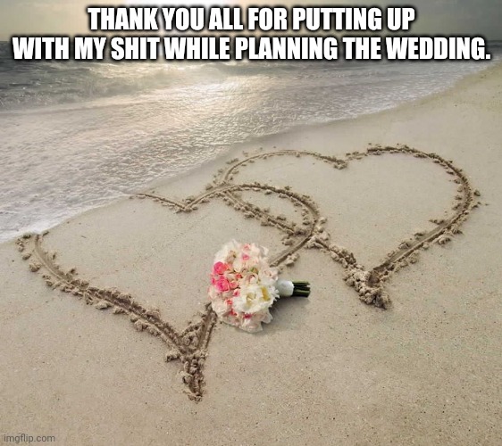 Love at sunset | THANK YOU ALL FOR PUTTING UP WITH MY SHIT WHILE PLANNING THE WEDDING. | image tagged in love at sunset | made w/ Imgflip meme maker