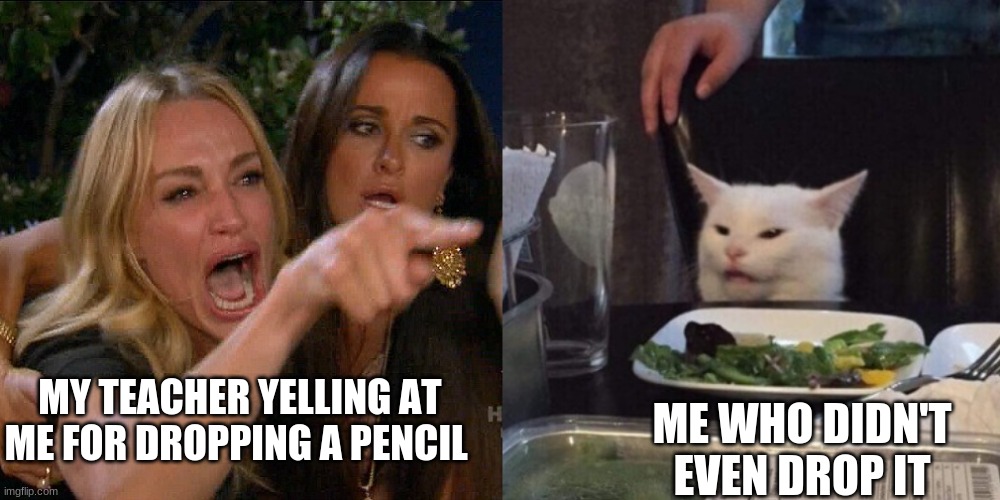 Woman yelling at cat | ME WHO DIDN'T EVEN DROP IT; MY TEACHER YELLING AT ME FOR DROPPING A PENCIL | image tagged in woman yelling at cat,funny memes | made w/ Imgflip meme maker