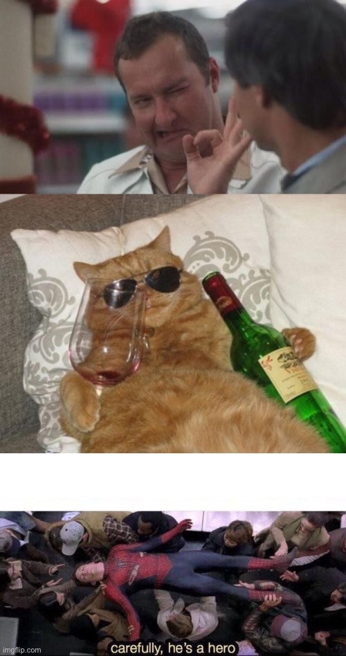 image tagged in real nice - christmas vacation,funny cat birthday,carefully he's a hero | made w/ Imgflip meme maker