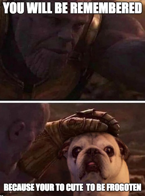your to cute | YOU WILL BE REMEMBERED; BECAUSE YOUR TO CUTE  TO BE FROGOTEN | image tagged in thanos,pug,cute | made w/ Imgflip meme maker