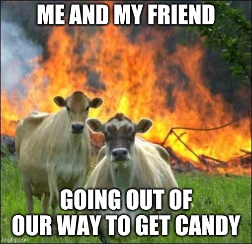 candy | ME AND MY FRIEND; GOING OUT OF OUR WAY TO GET CANDY | image tagged in memes,evil cows | made w/ Imgflip meme maker