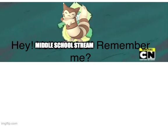 FURRET | MIDDLE SCHOOL STREAM | image tagged in blank white template | made w/ Imgflip meme maker