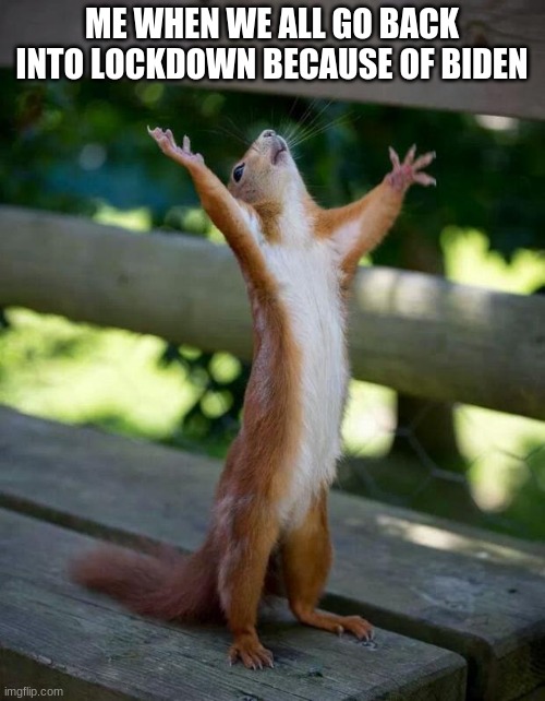 Happy Squirrel | ME WHEN WE ALL GO BACK INTO LOCKDOWN BECAUSE OF BIDEN | image tagged in happy squirrel | made w/ Imgflip meme maker