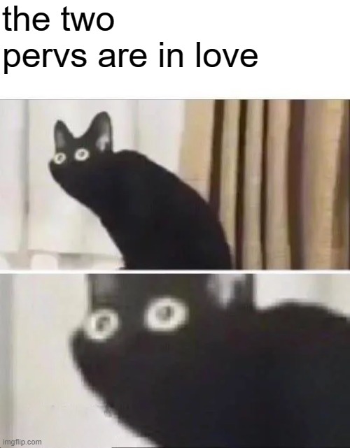 Oh No Black Cat | the two pervs are in love | image tagged in oh no black cat | made w/ Imgflip meme maker