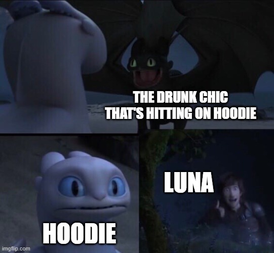 How to train your dragon 3 | THE DRUNK CHIC THAT'S HITTING ON HOODIE; LUNA; HOODIE | image tagged in how to train your dragon 3 | made w/ Imgflip meme maker