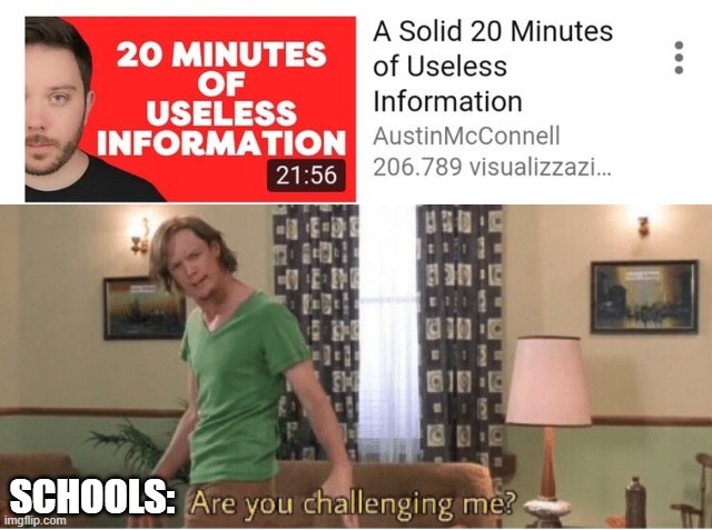 SCHOOLS: | image tagged in are you challenging me,school,useless | made w/ Imgflip meme maker