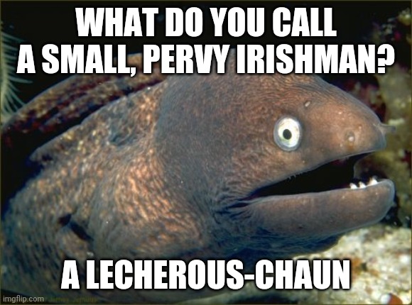 Bad Joke Eel Meme | WHAT DO YOU CALL A SMALL, PERVY IRISHMAN? A LECHEROUS-CHAUN | image tagged in memes,bad joke eel,leprechaun | made w/ Imgflip meme maker