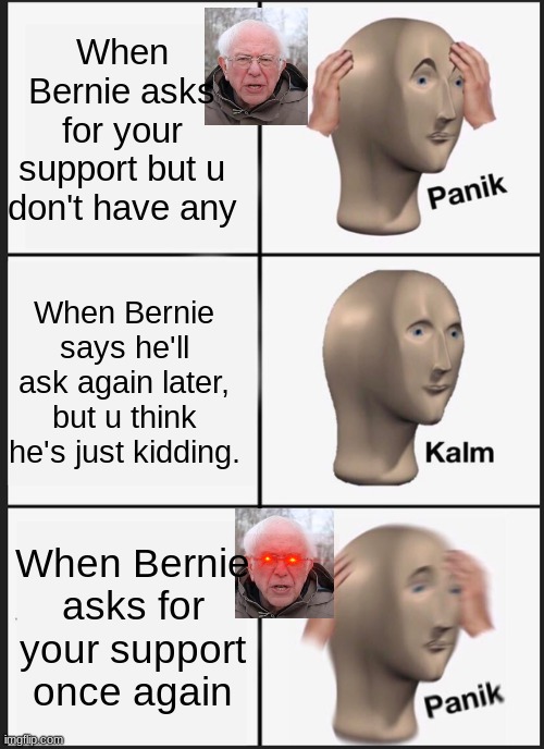 Better panic, Bernie's back |  When Bernie asks for your support but u don't have any; When Bernie says he'll ask again later, but u think he's just kidding. When Bernie asks for your support once again | image tagged in memes,panik kalm panik | made w/ Imgflip meme maker