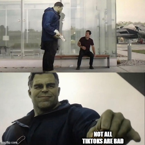 Hulk Taco | NOT ALL TIKTOKS ARE BAD | image tagged in hulk taco | made w/ Imgflip meme maker