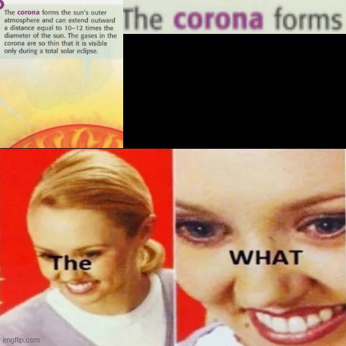 The What | image tagged in the what | made w/ Imgflip meme maker