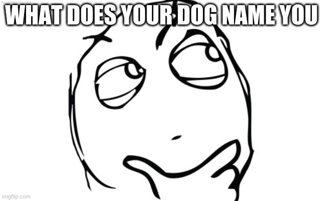 thinking meme face | WHAT DOES YOUR DOG NAME YOU | image tagged in thinking meme face | made w/ Imgflip meme maker