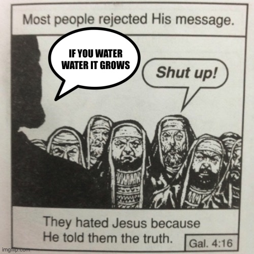 They hated jesus because he told them the truth | IF YOU WATER WATER IT GROWS | image tagged in water,bruh moment,jesus | made w/ Imgflip meme maker