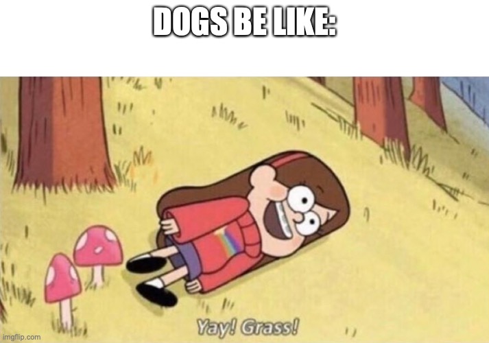 dogs be like | DOGS BE LIKE: | image tagged in yay grass,dogs,haha,hahaha,hahahaha | made w/ Imgflip meme maker