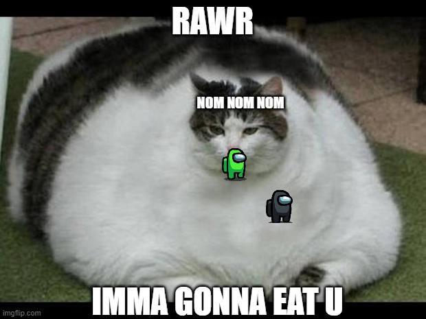 yyyyyyyyaaaaaassssssss | RAWR; NOM NOM NOM; IMMA GONNA EAT U | image tagged in fat cat 2 | made w/ Imgflip meme maker