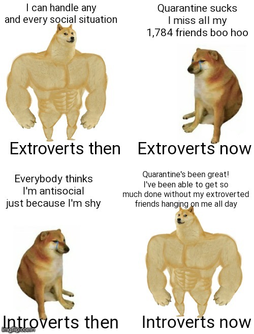 image tagged in buff doge vs cheems,introverts,extroverts | made w/ Imgflip meme maker