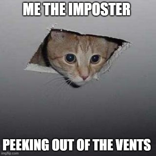 Ceiling Cat Meme | ME THE IMPOSTER; PEEKING OUT OF THE VENTS | image tagged in memes,ceiling cat | made w/ Imgflip meme maker