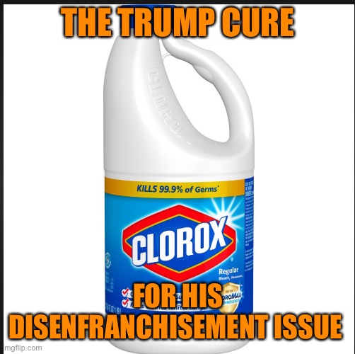 Bleach | THE TRUMP CURE FOR HIS DISENFRANCHISEMENT ISSUE | image tagged in bleach | made w/ Imgflip meme maker