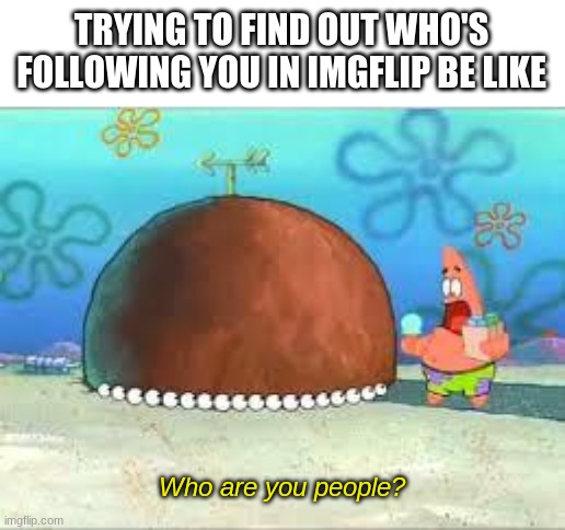 Whomst'd've followed whom? | TRYING TO FIND OUT WHO'S FOLLOWING YOU IN IMGFLIP BE LIKE; Who are you people? | image tagged in who are you people,imgflip first world problems | made w/ Imgflip meme maker