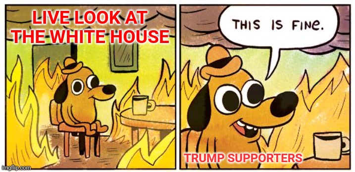 When what you think will happen doesn't... | LIVE LOOK AT THE WHITE HOUSE; TRUMP SUPPORTERS | image tagged in memes,this is fine,election 2020 | made w/ Imgflip meme maker