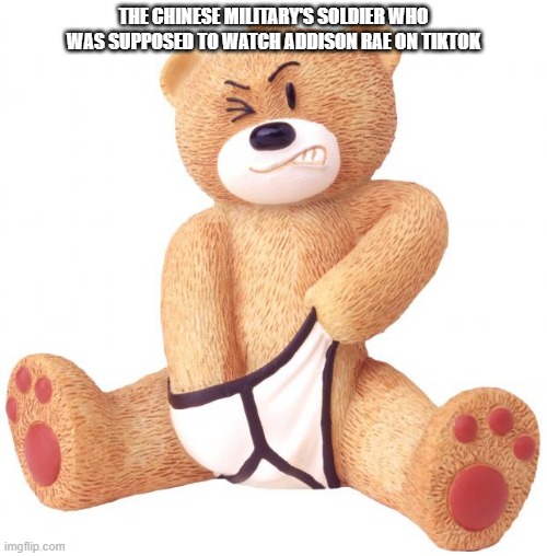 Horny Teddy | THE CHINESE MILITARY'S SOLDIER WHO WAS SUPPOSED TO WATCH ADDISON RAE ON TIKTOK | image tagged in horny teddy,tiktok,china | made w/ Imgflip meme maker