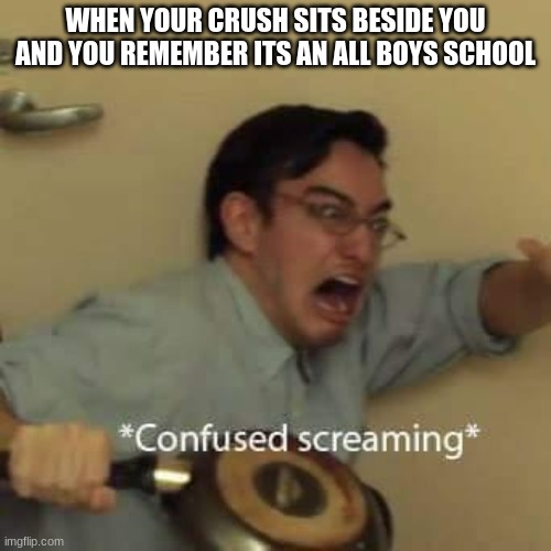Happened to my gf's dad in '83 | WHEN YOUR CRUSH SITS BESIDE YOU AND YOU REMEMBER ITS AN ALL BOYS SCHOOL | image tagged in filthy frank confused scream | made w/ Imgflip meme maker