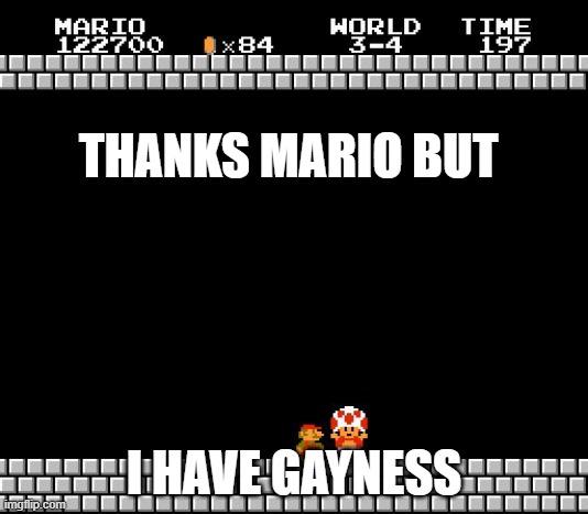 Thank You Mario | THANKS MARIO BUT; I HAVE GAYNESS | image tagged in thank you mario | made w/ Imgflip meme maker