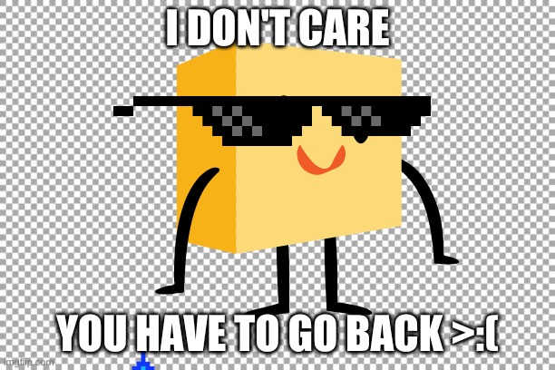 pls no zearn pls | I DON'T CARE; YOU HAVE TO GO BACK >:( | image tagged in pls | made w/ Imgflip meme maker